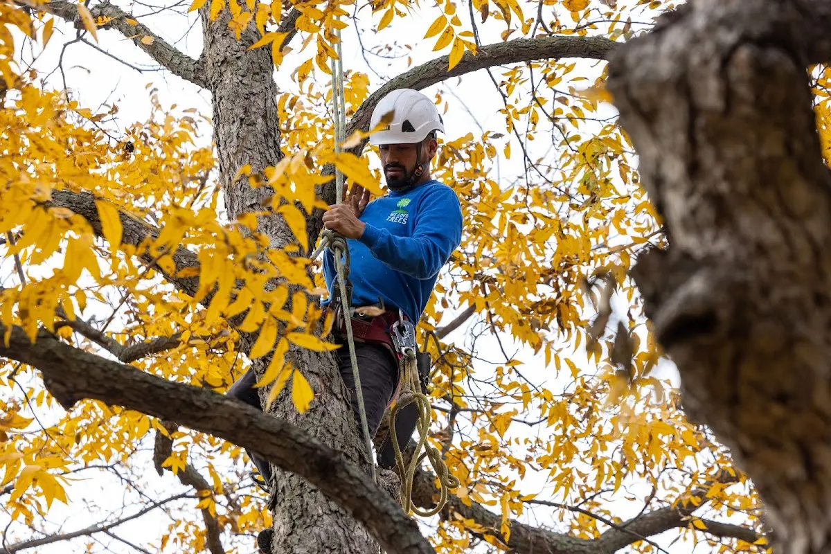 Skilled Storm Damage Cleanup crew working in Warrenton